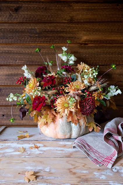 Pumpkin Flowers