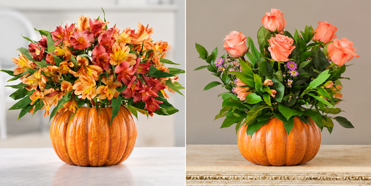Pumpkin Flowers